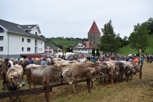 Ausstellungsplatz